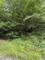 TBD Johns Mountain Road - Photo 4