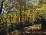 Lot 61 Boone Coffey Trail - Photo 20