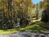 Lot 61 Boone Coffey Trail - Photo 21
