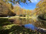 Lot 61 Boone Coffey Trail - Photo 22
