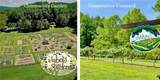 Lot 161/162 Rocky Falls Lane - Photo 37