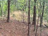 Lot 161/162 Rocky Falls Lane - Photo 8