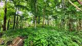 TBD Beech Mountain Road - Photo 1