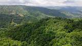 TBD Beech Mountain Road - Photo 13