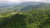 TBD Beech Mountain Road - Photo 14