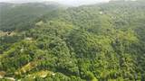 TBD Beech Mountain Road - Photo 16