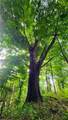 TBD Beech Mountain Road - Photo 2