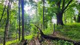 TBD Beech Mountain Road - Photo 6