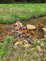 3205 Sheets Gap Road - Photo 1