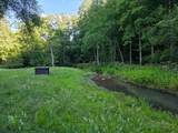 3205 Sheets Gap Road - Photo 10