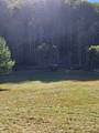 3205 Sheets Gap Road - Photo 44