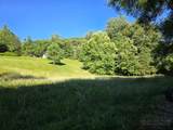 3205 Sheets Gap Road - Photo 9