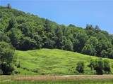 Lot 12 Elk River Road - Photo 1