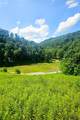 Lot 12 Elk River Road - Photo 2