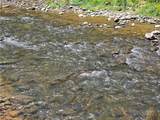 Lot 12 Elk River Road - Photo 6