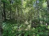 TBD Big Flatts Church Road - Photo 10