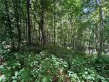 TBD Big Flatts Church Road - Photo 11