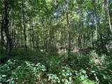 TBD Big Flatts Church Road - Photo 12