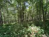 TBD Big Flatts Church Road - Photo 13
