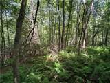 TBD Big Flatts Church Road - Photo 16