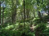 TBD Big Flatts Church Road - Photo 17