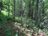TBD Big Flatts Church Road - Photo 8