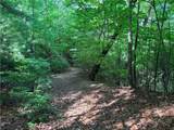 Lots 171 & 172B Blue Rock Road - Photo 12