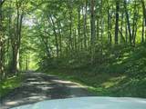 TBD Green Cove Road - Photo 3