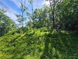 TBD Green Cove Road - Photo 5