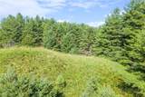 LOT 31 Alleghany Beauty - Photo 1