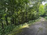 TBD Crown Spruce Lane - Photo 4