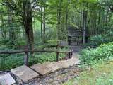TBD Crown Spruce Lane - Photo 6