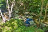 TBD Drake Drive - Photo 2