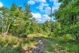 TBD Drake Drive - Photo 5