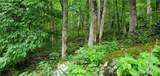 Lot 87 Thorncliff Drive - Photo 2