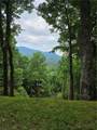 Lot C10 Bear Paw Road - Photo 1