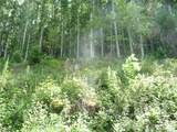 870 Bairds Creek Road - Photo 10