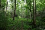 TBD Blowing Rock Road - Photo 1
