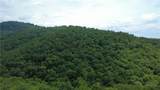TBD Blowing Rock Road - Photo 19