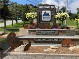 301 Pinnacle Inn Road - Photo 41