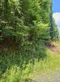 TBD Chestnut Creek Road - Photo 1