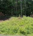 TBD Chestnut Creek Road - Photo 2