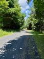 TBD Chestnut Creek Road - Photo 4