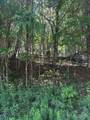 TBD Chestnut Creek Road - Photo 8