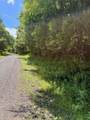 TBD Chestnut Creek Road - Photo 9