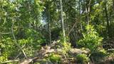 Lot 122 Pine Tree Drive - Photo 3