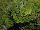 TBD Red Clover Road - Photo 3