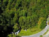 TBD Red Clover Road - Photo 5