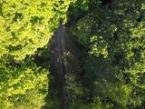 TBD Red Clover Road - Photo 7