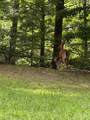 79 Elk Horn Road - Photo 11